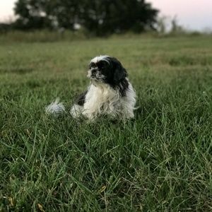 Meet your Posher, Christy